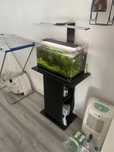 Aquario de 50cm com movel e calha