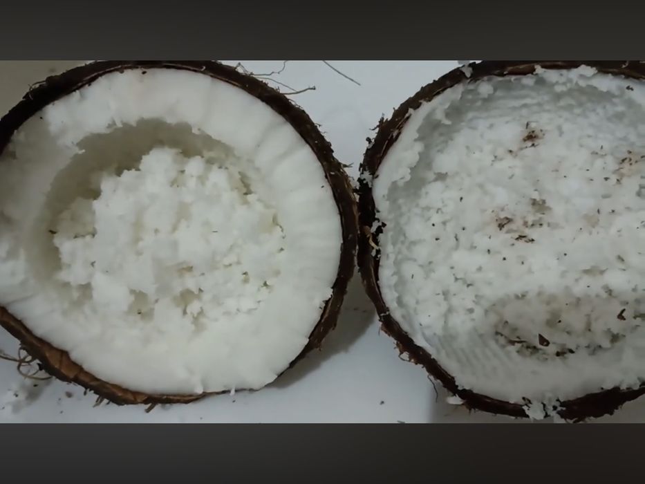 Измельчитель для кокоса.