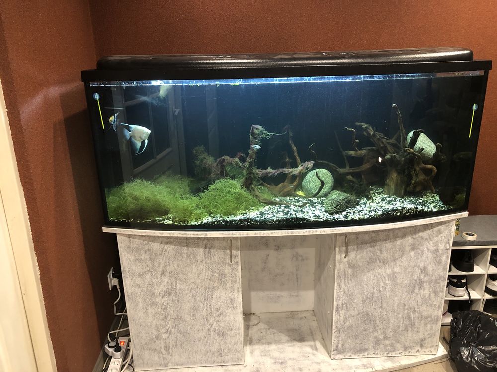 Akwarium 420 litrow
