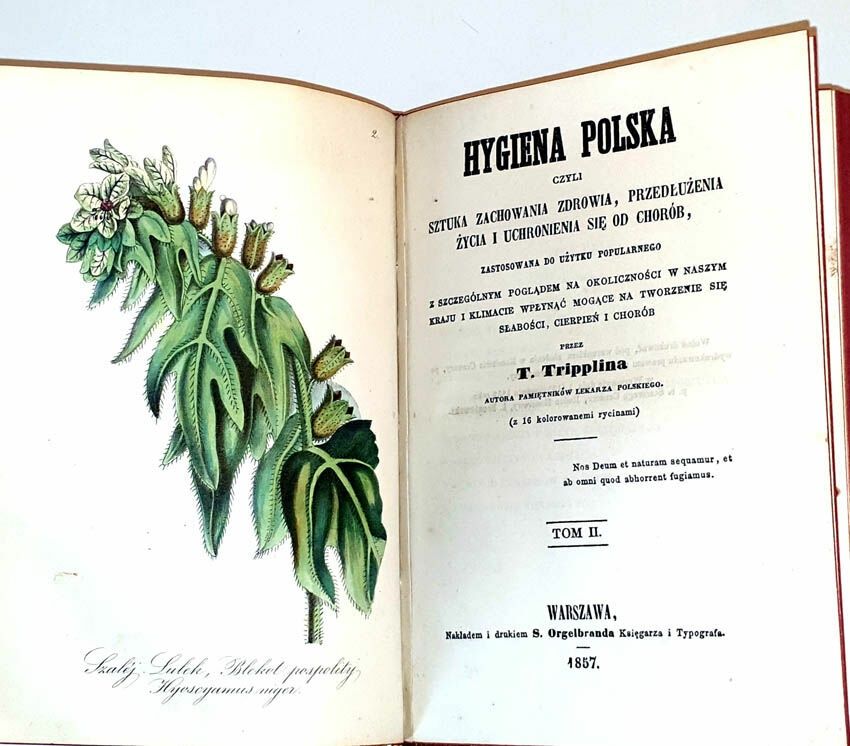 Hygiena Polska- T. Trypplin- Warszawa 1857