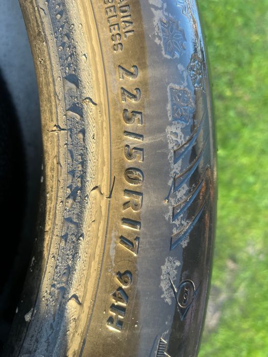 Шини зимова Dunlop