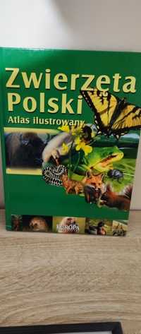 Zwierzęta Polski Atlas ilustrowany dla dzieci