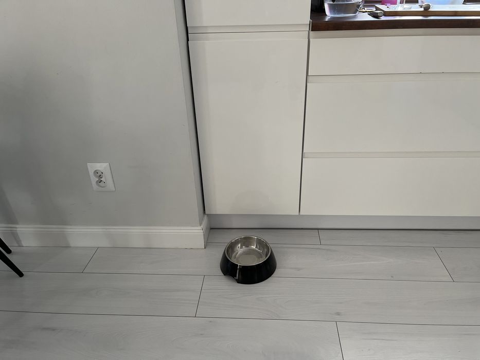 Miska dla psa, duza, 2w1