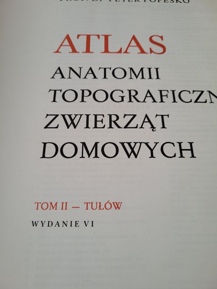 Atlas anatomii topograficznej zwierząt domowych  cz.2