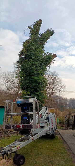 Podnośnik koszowy 4x4 na wynajem z operatorem, dekarstwo/wycinka drzew