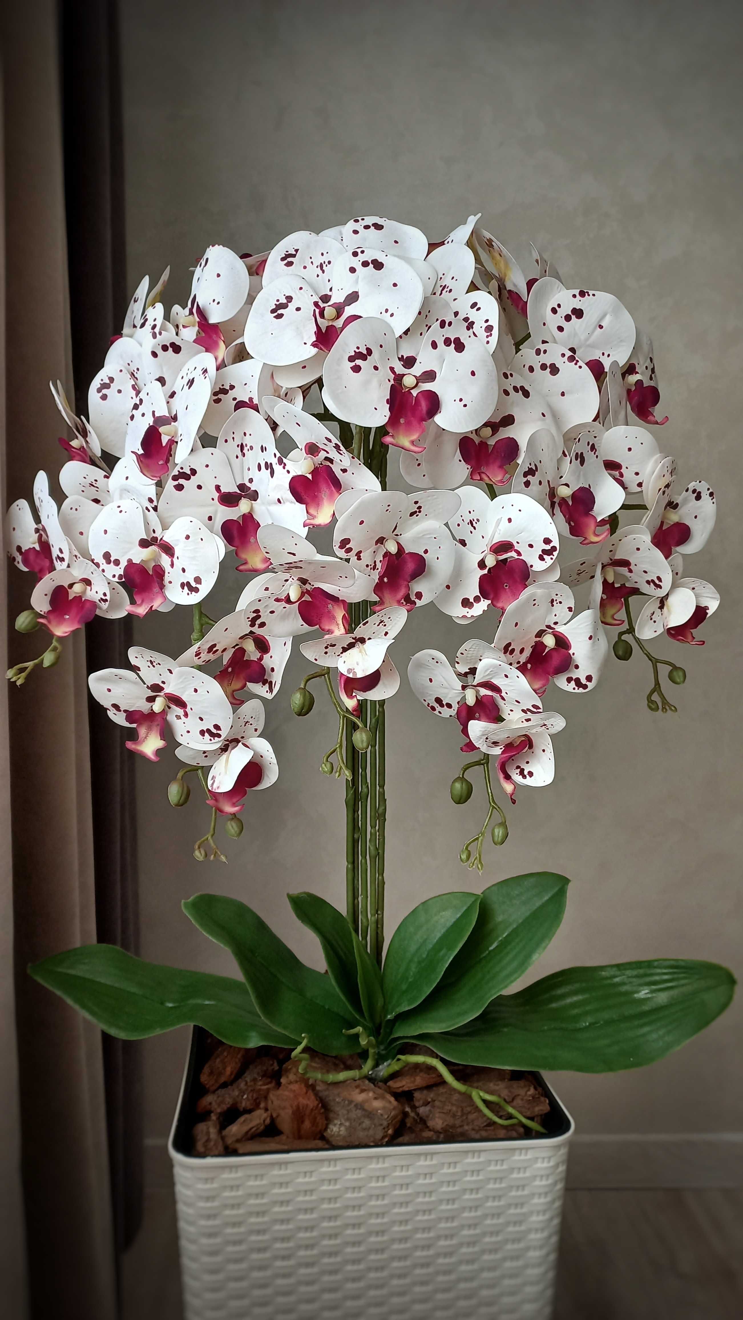 Орхідея латексна, латексная орхидея, інтер'єрні композиції