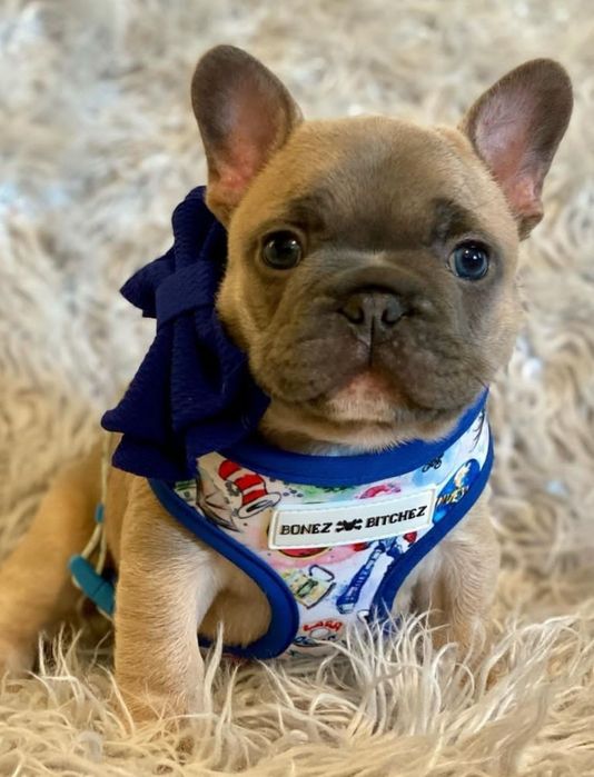 Чудова ДІвчинка малютка