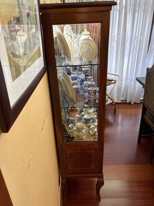 Vitrine Expositor Eletrificada