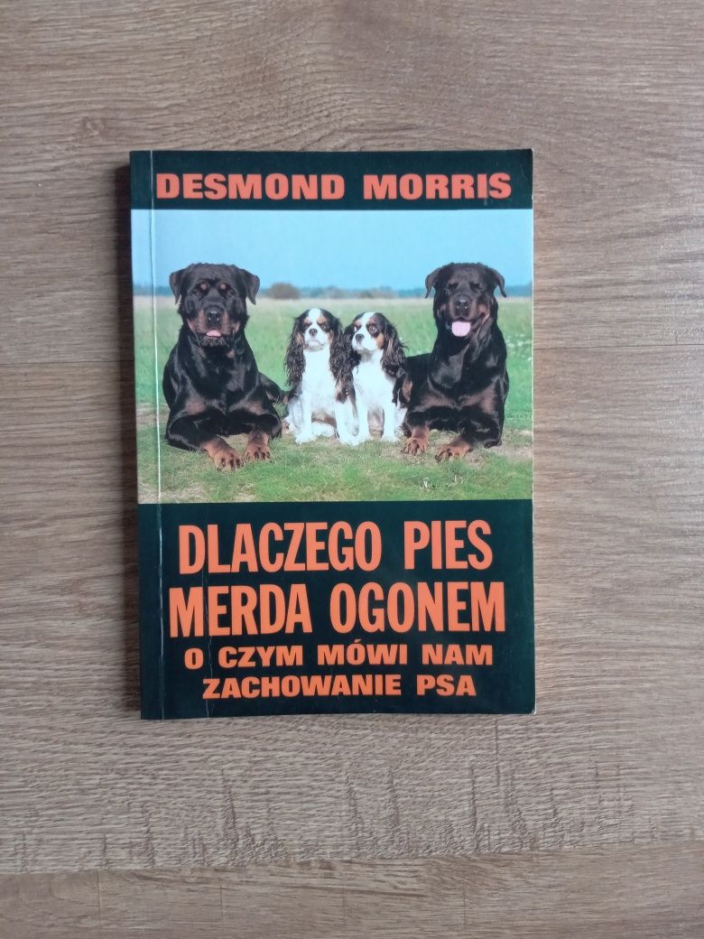 Dlaczego pies merda ogonem Desmond Morris
