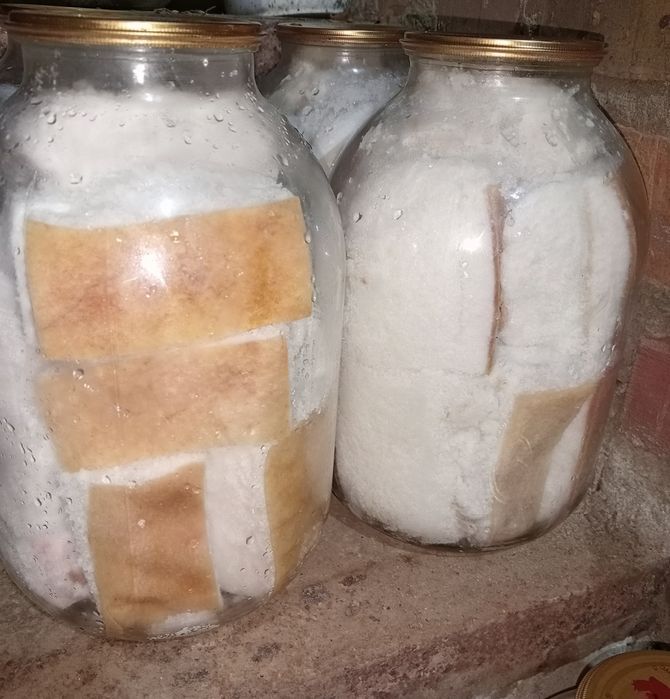 Продам сало солене
