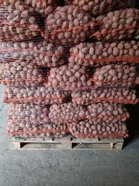Ziemniaki kaliber 30-55 mm: Jurek