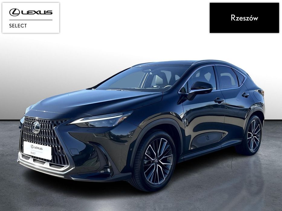 Lexus NX NX350h Omotenashi + Dach Panoramiczny | Vat23% |
