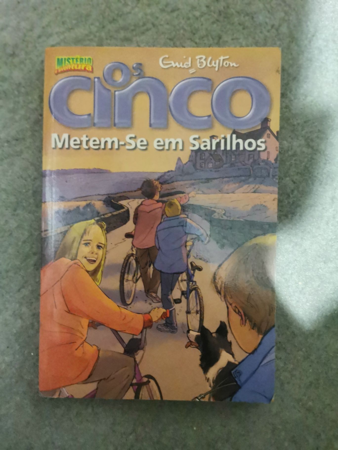 Os Cinco Metem-se em sarilhos
