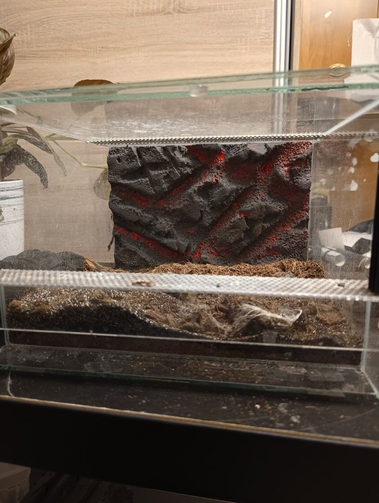 Ścianki do terrarium
