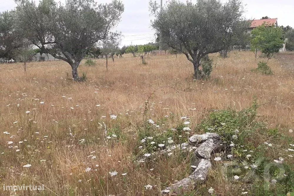 Terreno à Venda em Mirandela: Localização Privilegiada