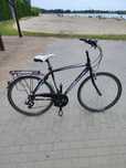 Rower trekkingowy Bottecchia Verde natura 28 cali