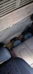 Jipe Freelander ano 2000