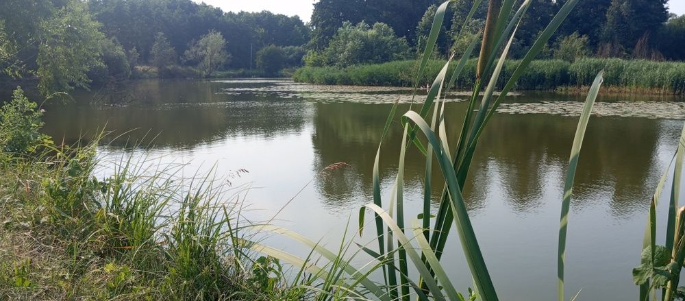 Будинок в Матюшах