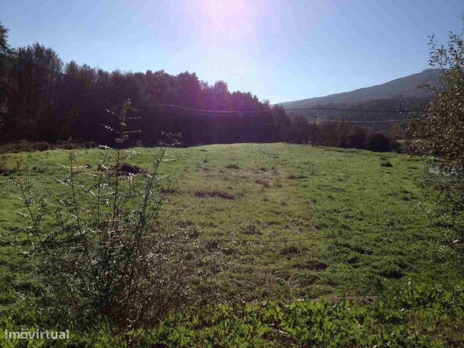 Lameiros Velhos - Sedielos