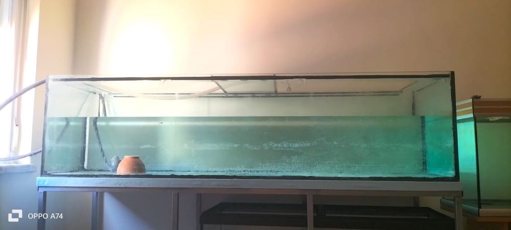 Aquario 2metros com estrutura