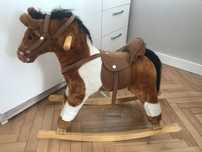 Konik na biegunach