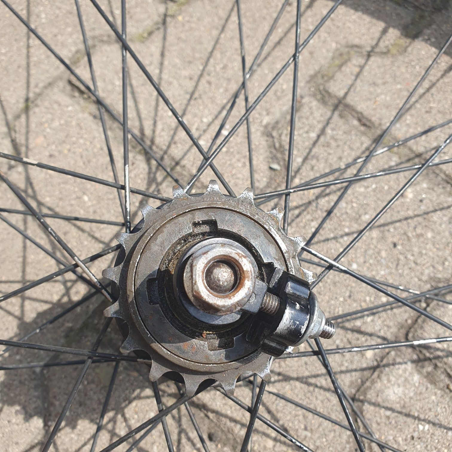 Koło tylne single speed/ostre koło 700x24c