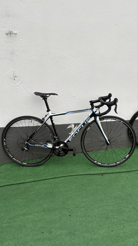 Bicicleta focus cayo carbono
