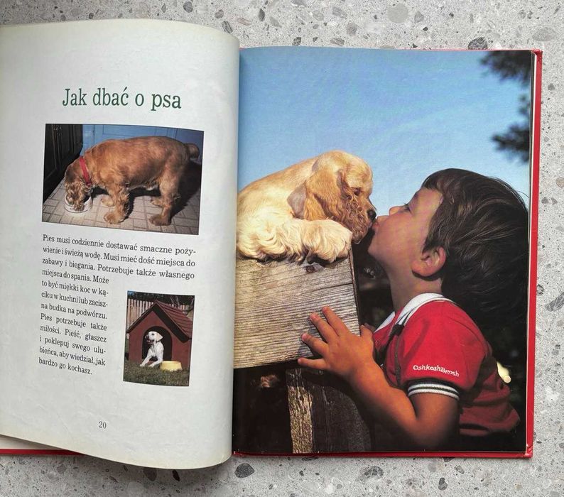 Psy Dziecięca Biblioteka Przyrody Album ilustrowany