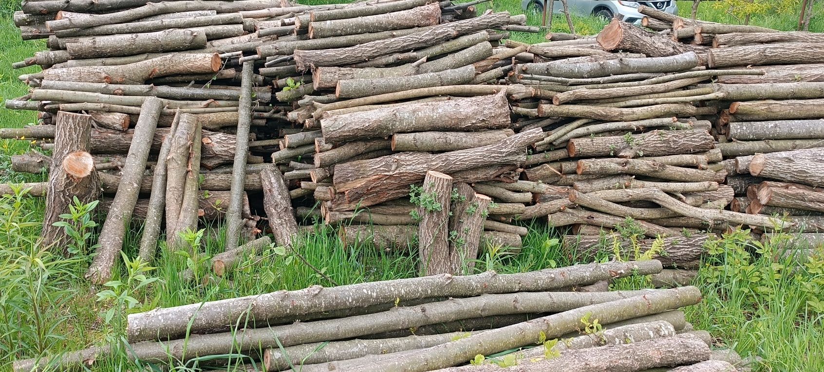 Продам дрова м'яких порід дерев