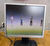 Monitor LCD 19” HP
