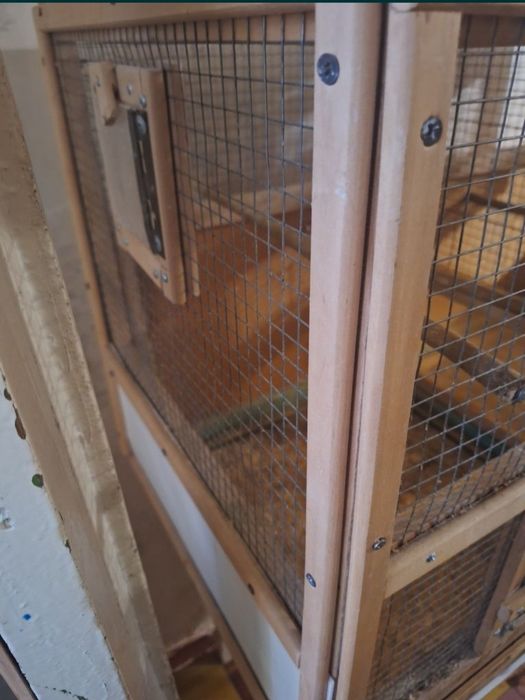 Клетка для птиц крепкая