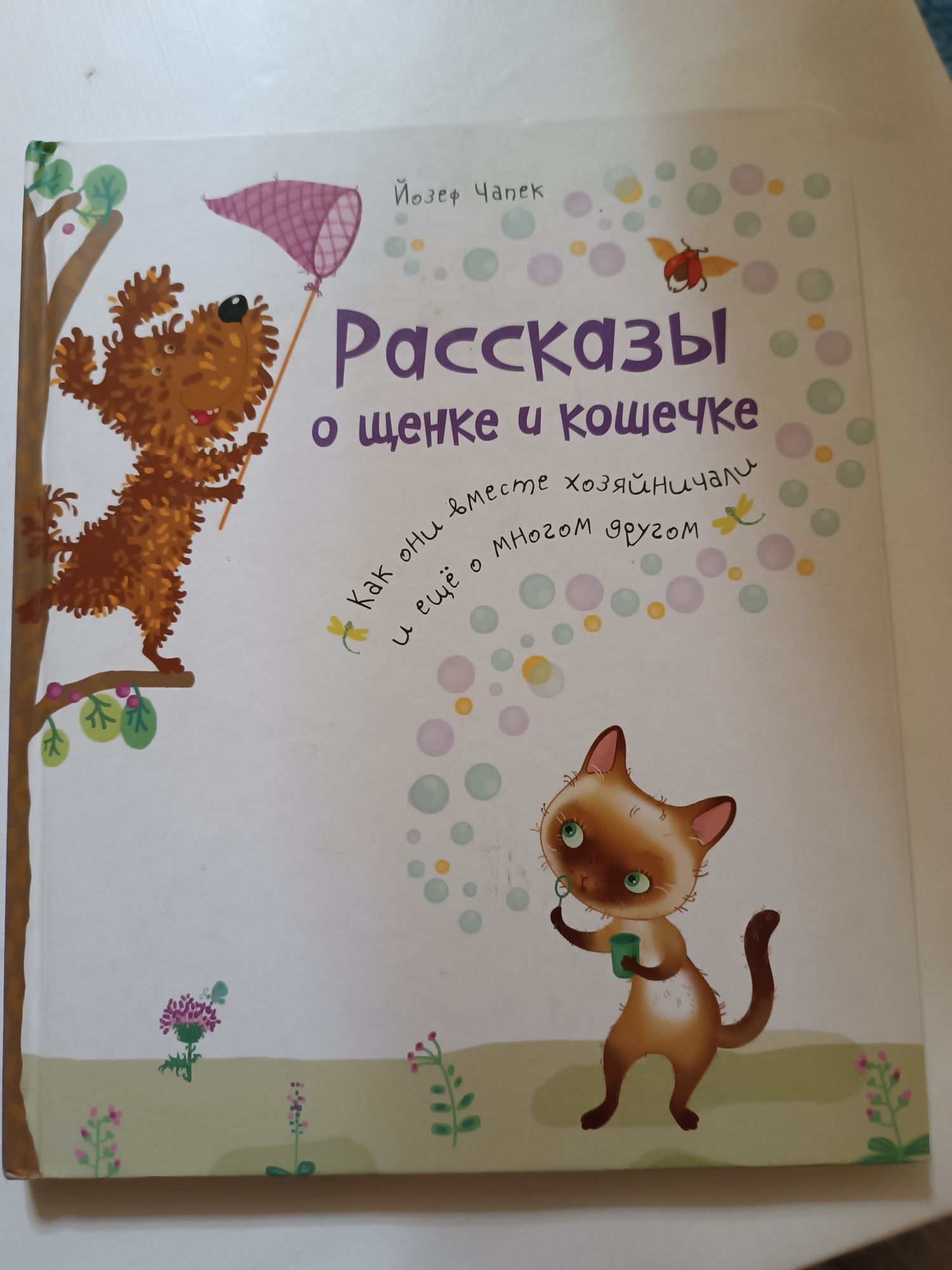 Добрые Сказки, Рассказы о щенке и кошечке, Волшебник изумрудного город