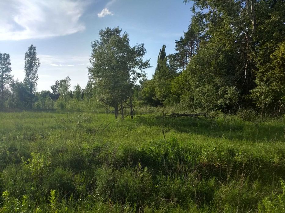 Гостомель. Фасадна ділянка біля траси. Земля під комерцію - 51 сотка.