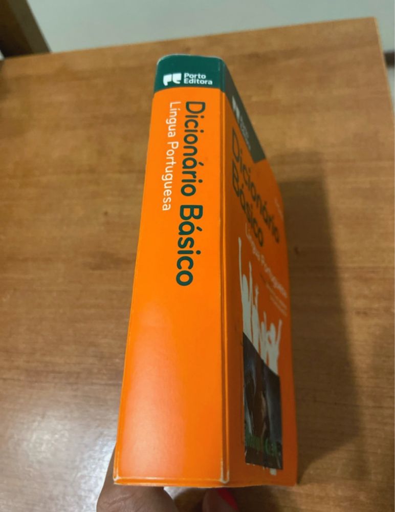 Dicionario basico