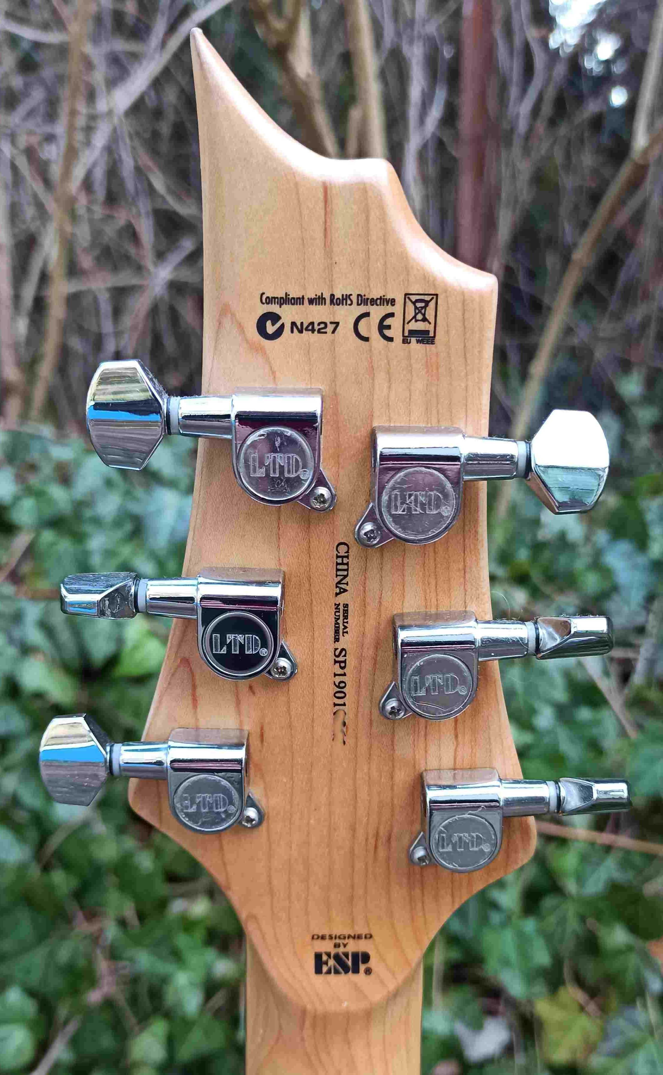 Gitara elektryczna ESP LTD F-10