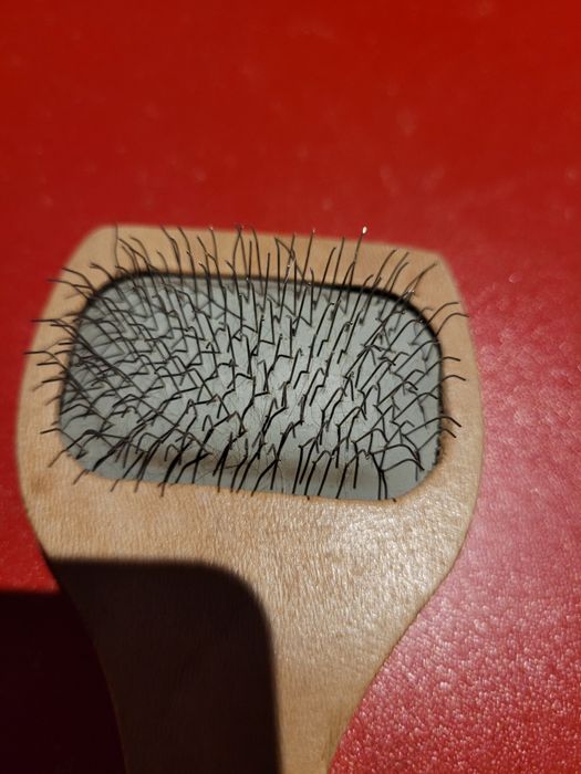 Szczotka do czesania zwierząt kot pies.