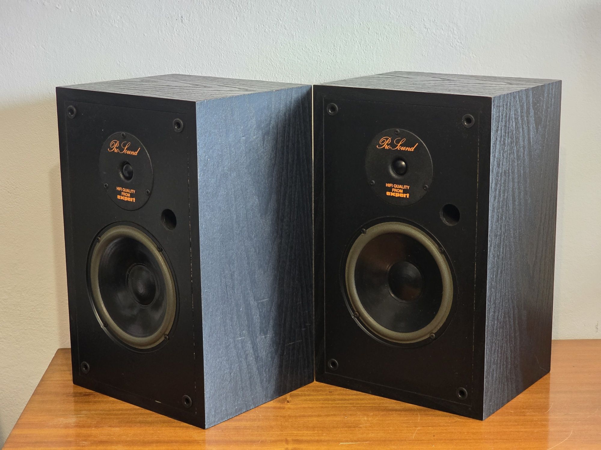 BNS PRO SOUND 1 kolumny Monitory VIFA d19 małe monitory