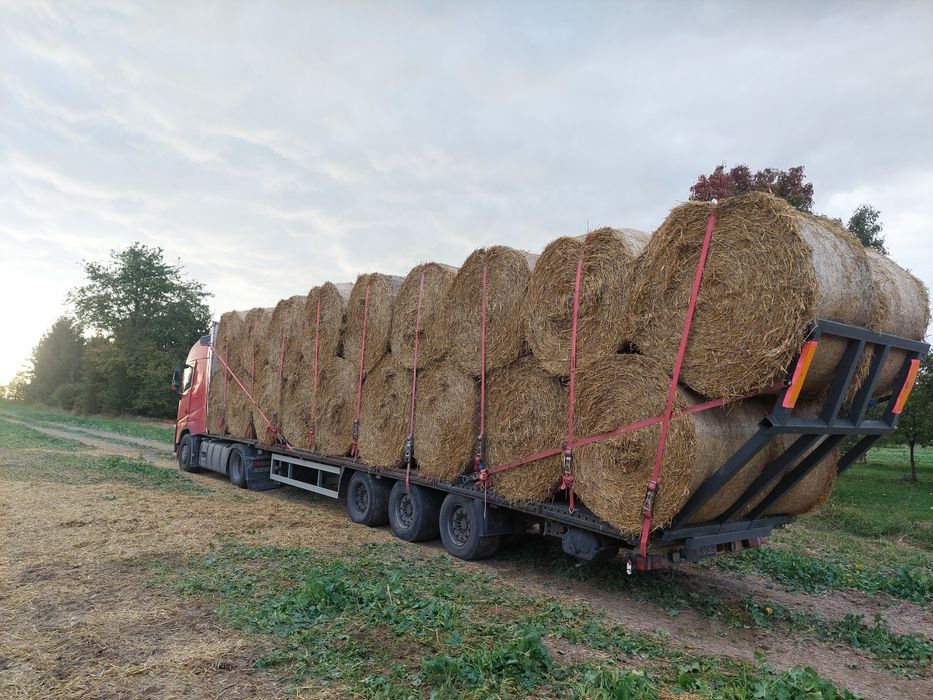 Sloma pszenna rolki 120cm I 160 cm