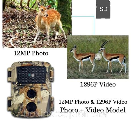 Камера дикої природи, 12 МП 1080P з нічним баченням (не прав. працює.)
