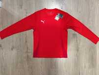 Koszulka długim rękawem Puma teamGOAL LS Jersey trening piłkarska nowa