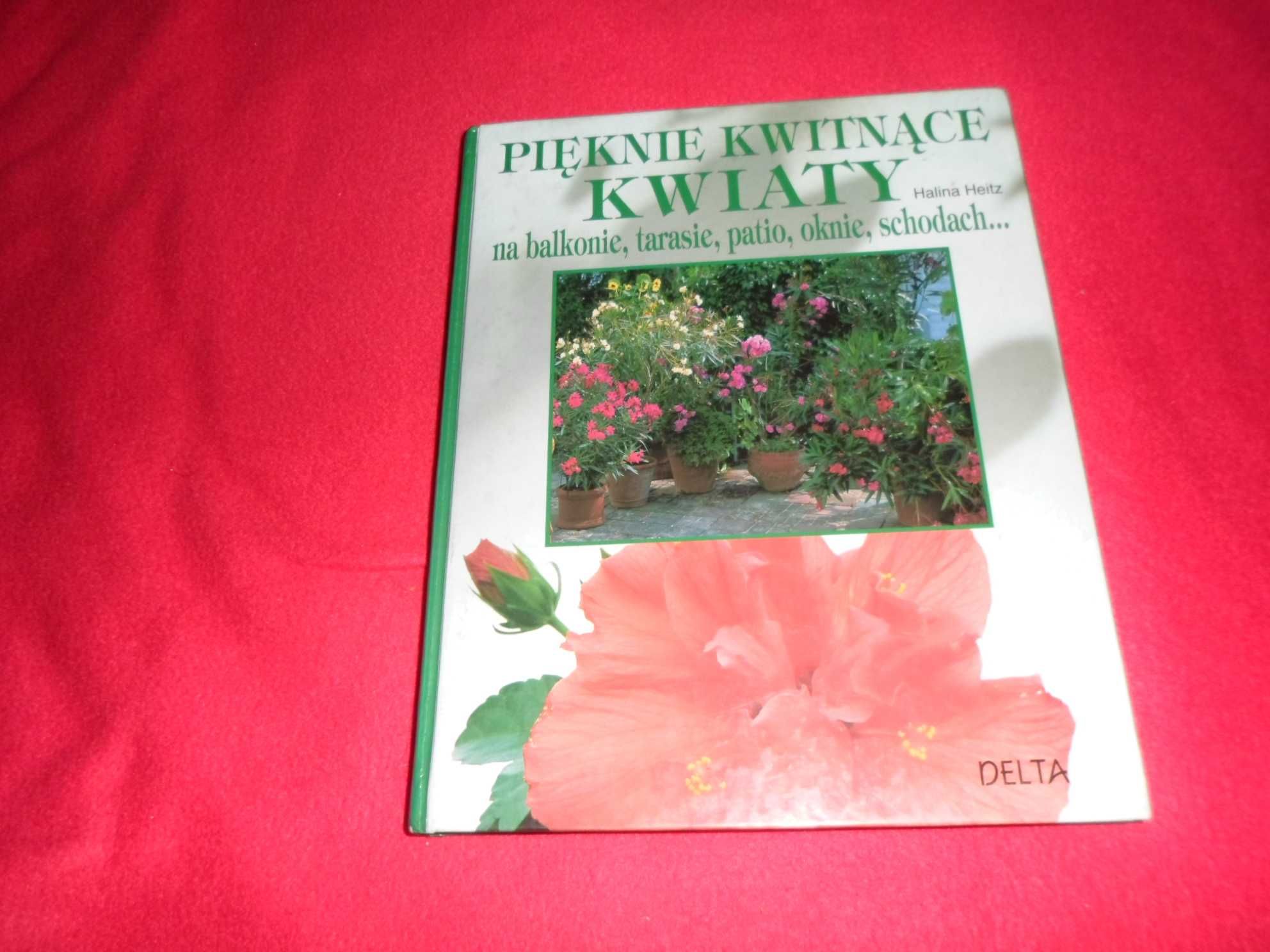 Halina Heitz - Pięknie kwitnące kwiaty na balkonie, patio, oknie, scho