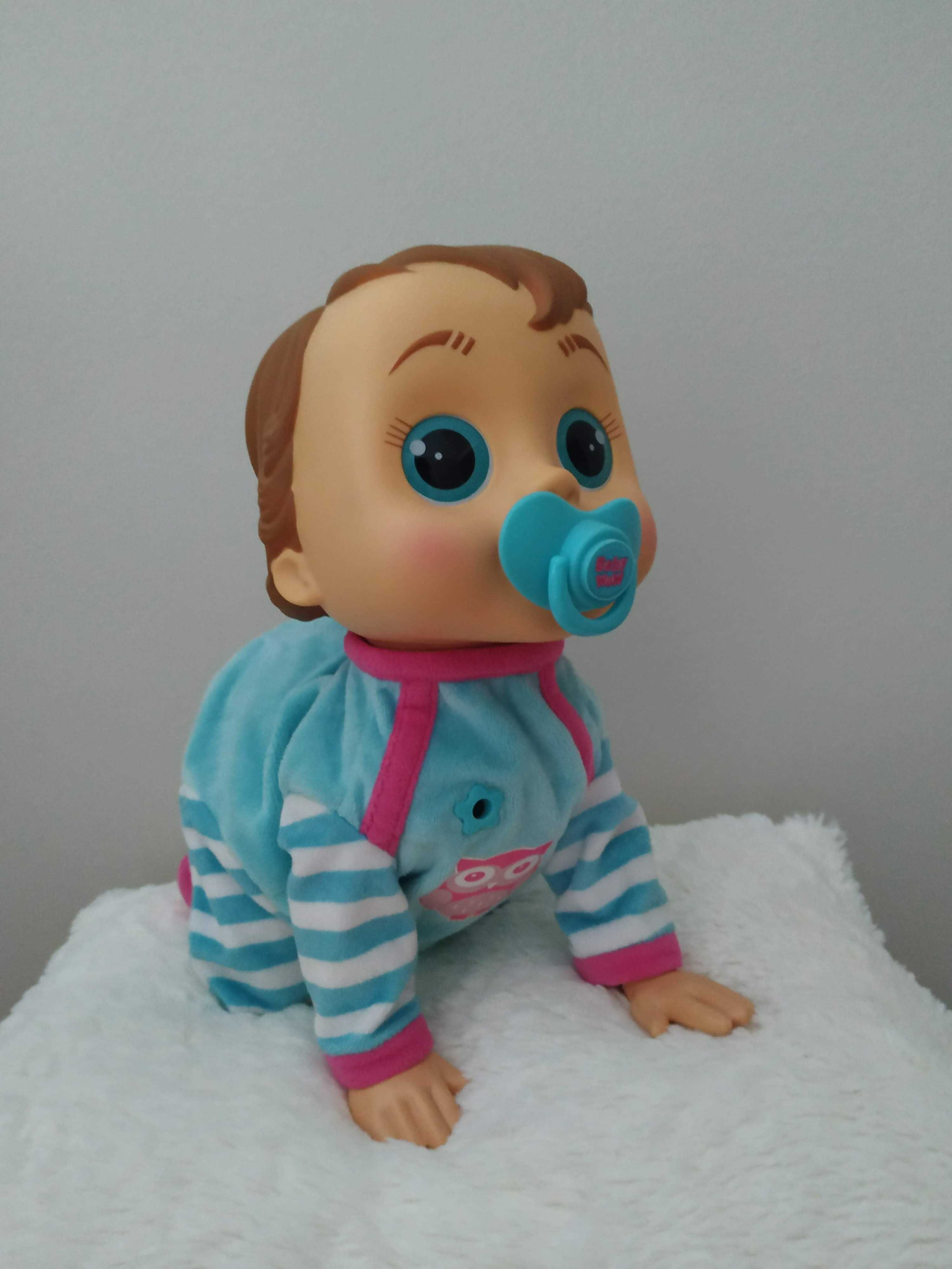 Unicórnio ou Bebé gatinha ou Cão