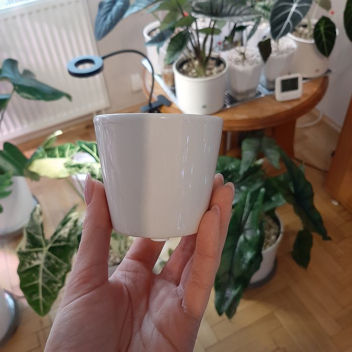 Zestaw osłonek ceramicznych SOFIA