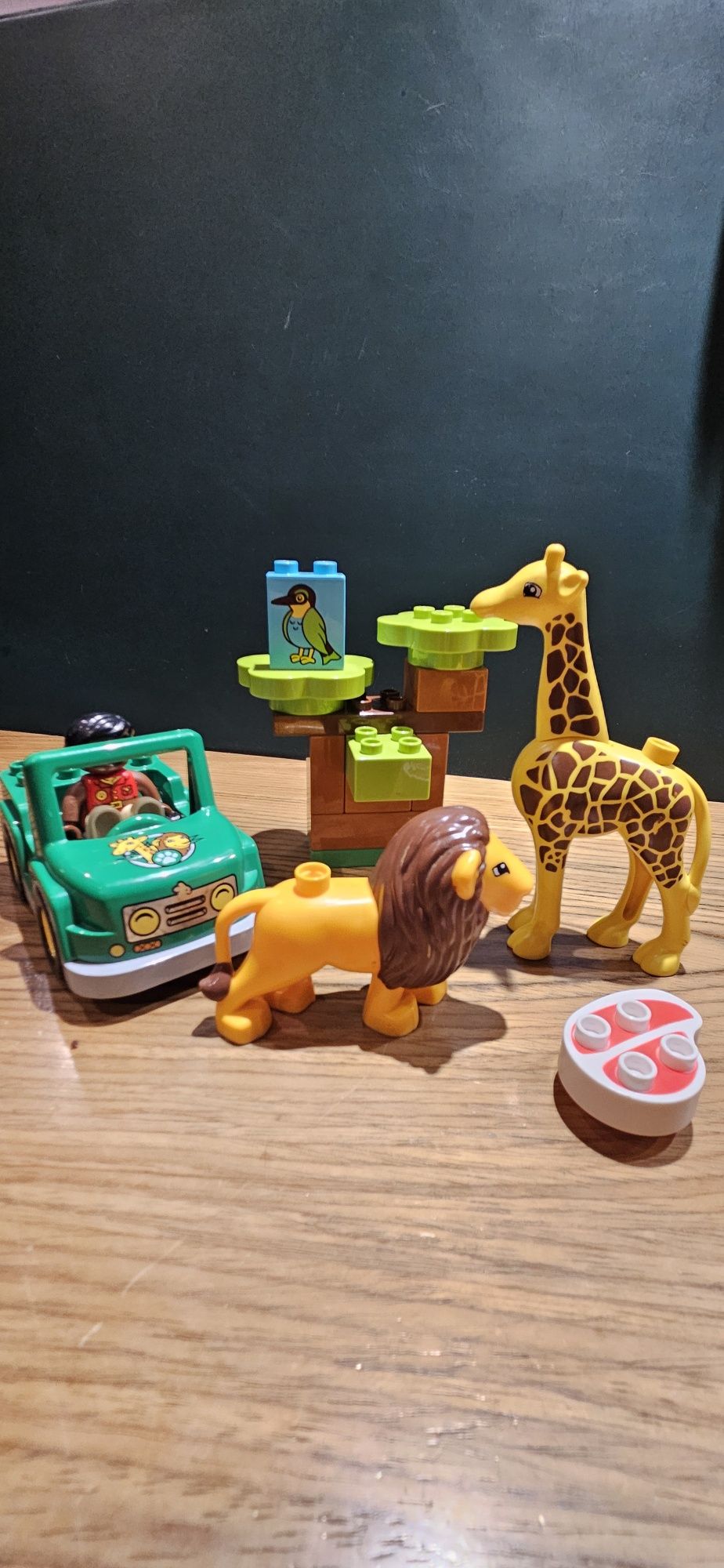 Lego duplo zestaw safari lew