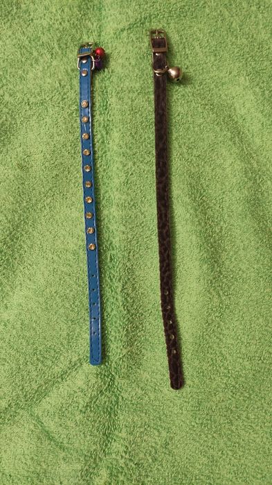 ошийники для собак