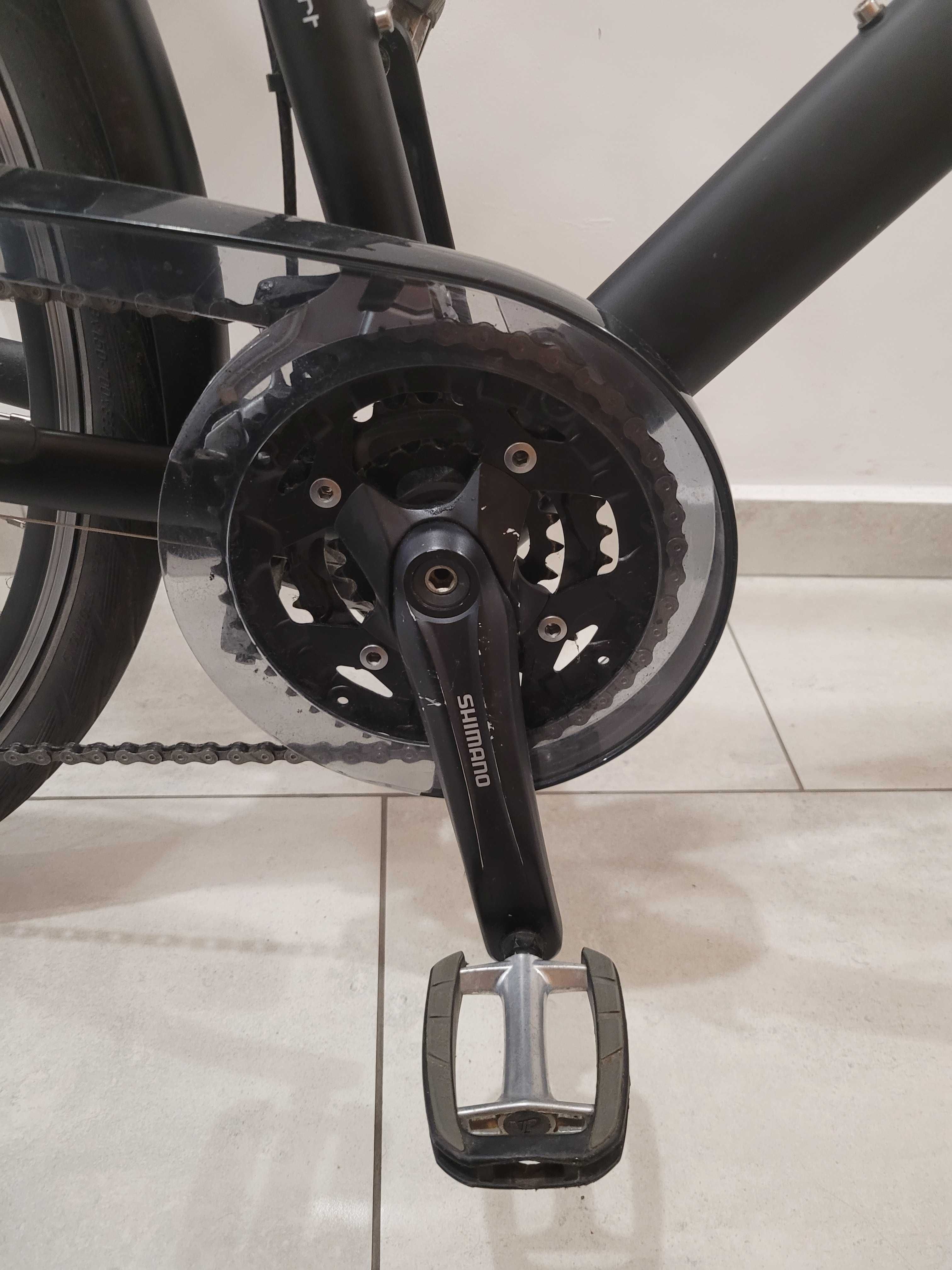 Rower Batavus Zonar