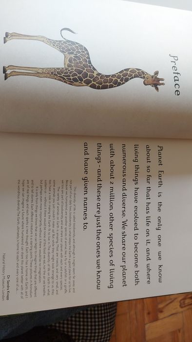 Animalium curated by Katie Scott and Jenny Broom