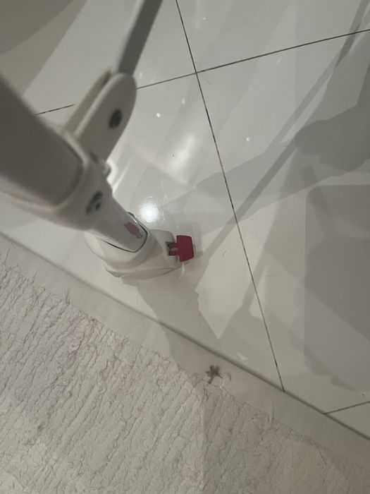 Banheira bebe CAM