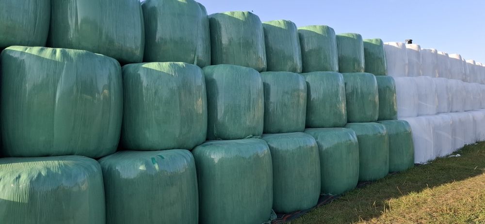 Kiszonka z trawy bele 120x120