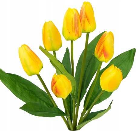 Bukiet 7 sztuk tulipanów w kolorze żółto - pomarańczowym